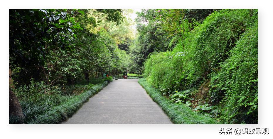 陈从周的园林作品有哪些,陈从周中国园林风格