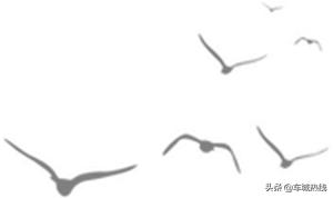 云招商发布会,2022年十堰招商项目