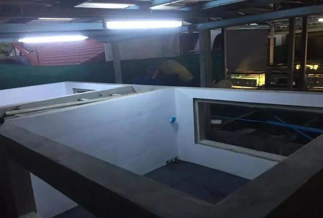 国外某熊孩子自告奋勇去擦缸把龙鱼吓脱臼了！