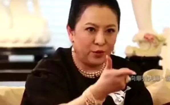 向太陈岚发长文痛骂周星驰,向太陈岚对张柏芝的评价