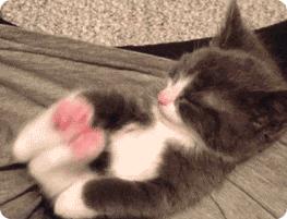 杨幂黑色字母袜王牌对王牌,杨幂格子衫高筒靴秀逆天长腿