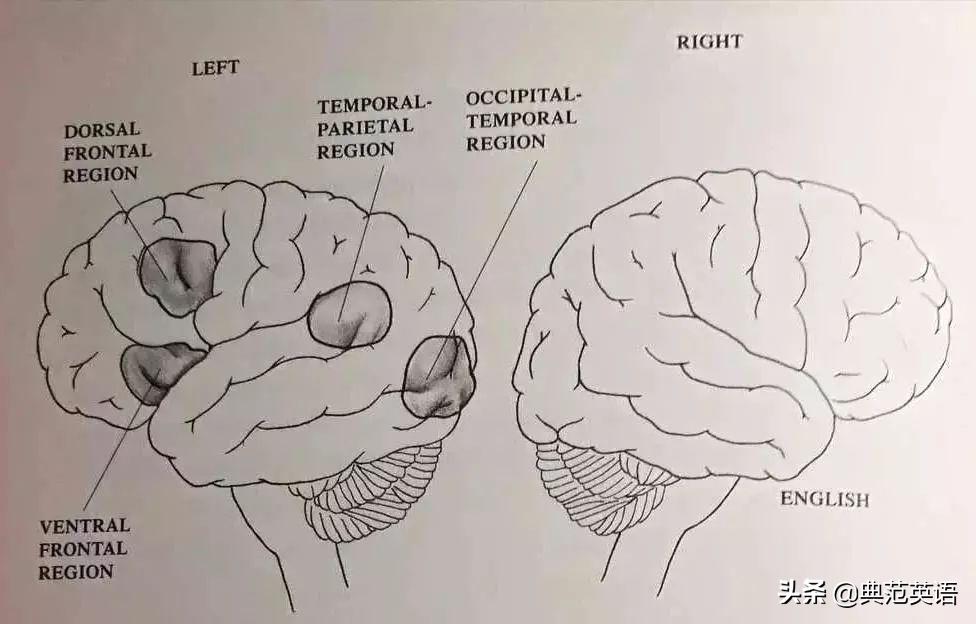 孩子明明没时间,新教改阅读量却猛增3倍?原来是希望父母这样做