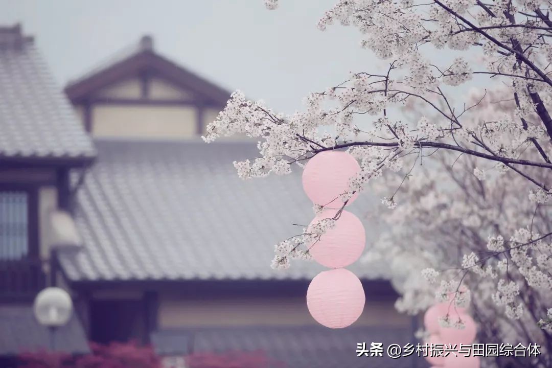 古朴悠然的禅意小镇,半农学院