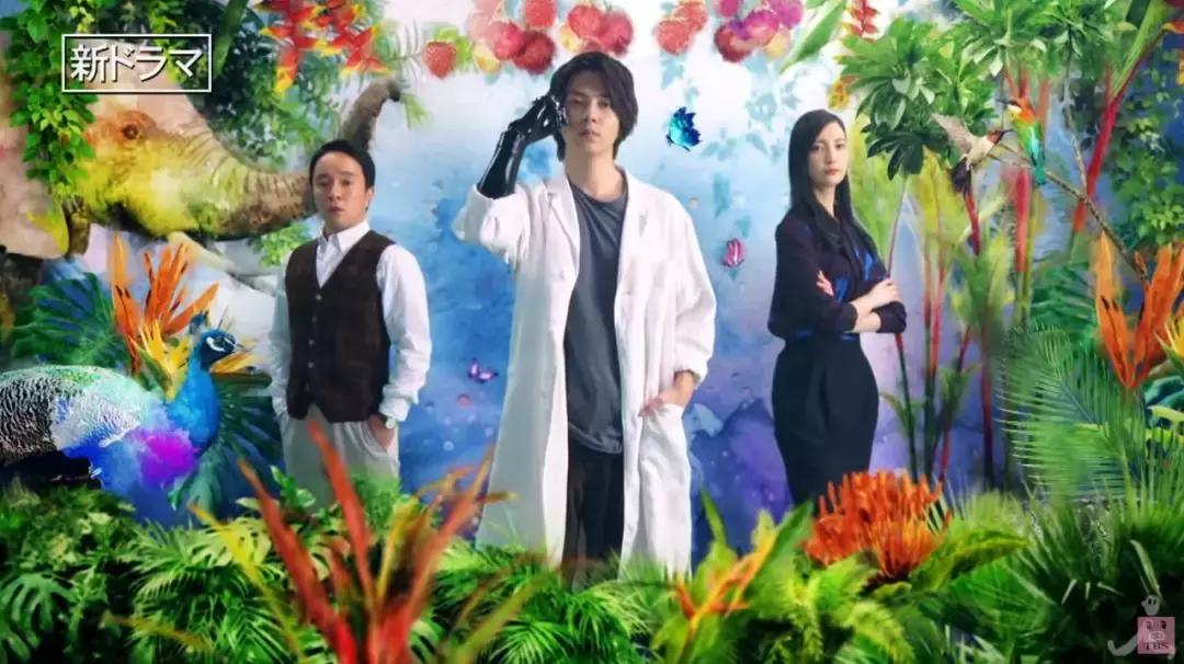 2019秋季日剧预告整理,2019年春日剧