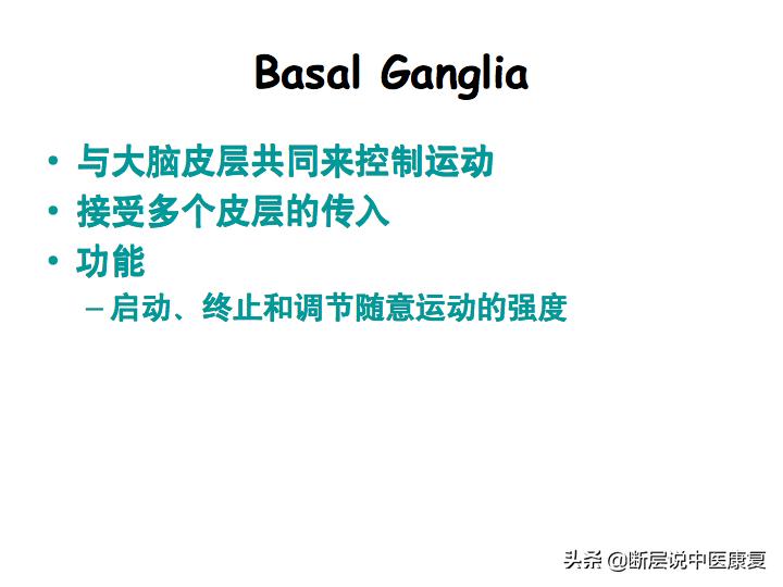 中枢神经系统断层解剖讲解,中枢神经3d解剖动画