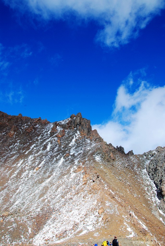 狼c调简谱教唱,狼c