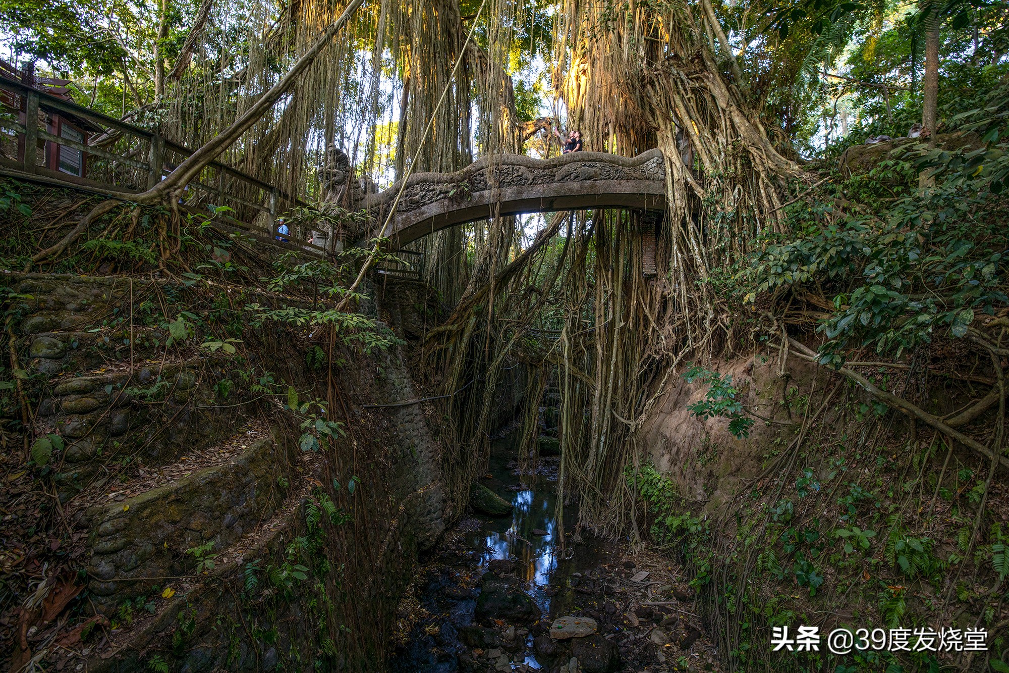 浣宠兘骞胯闀滃ご15-35,浣宠兘rf骞胯闀滃ごrf18