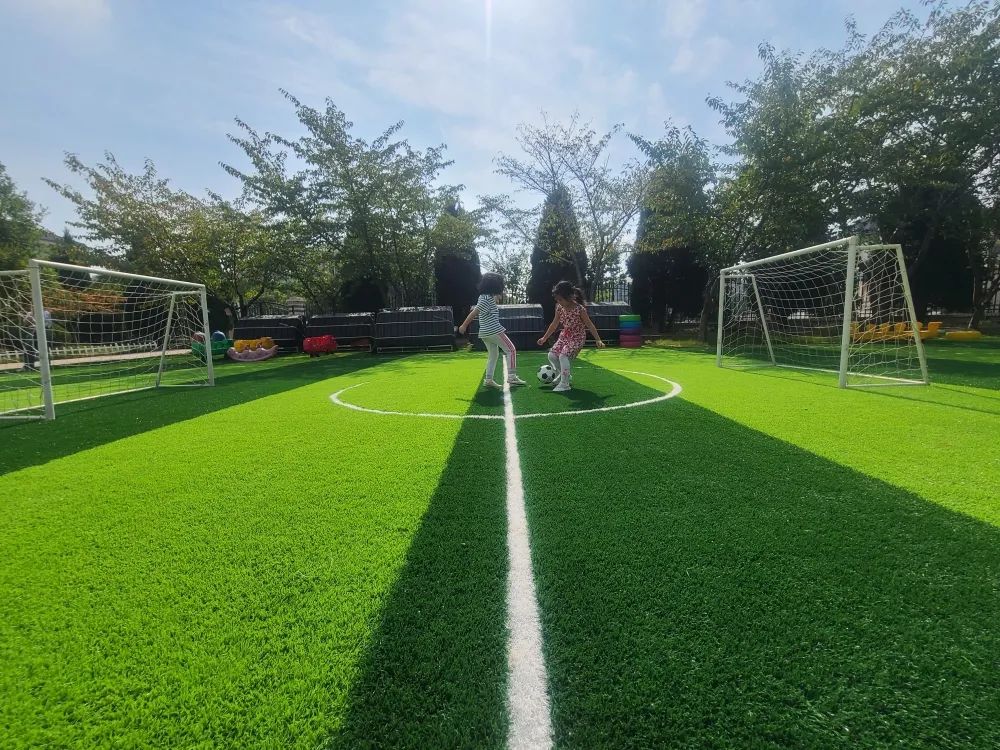 足球魅力在哪里呢,唯有足球真实魅力