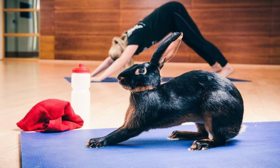 如何看待如今儿童兴趣班,小朋友学兴趣班的意义