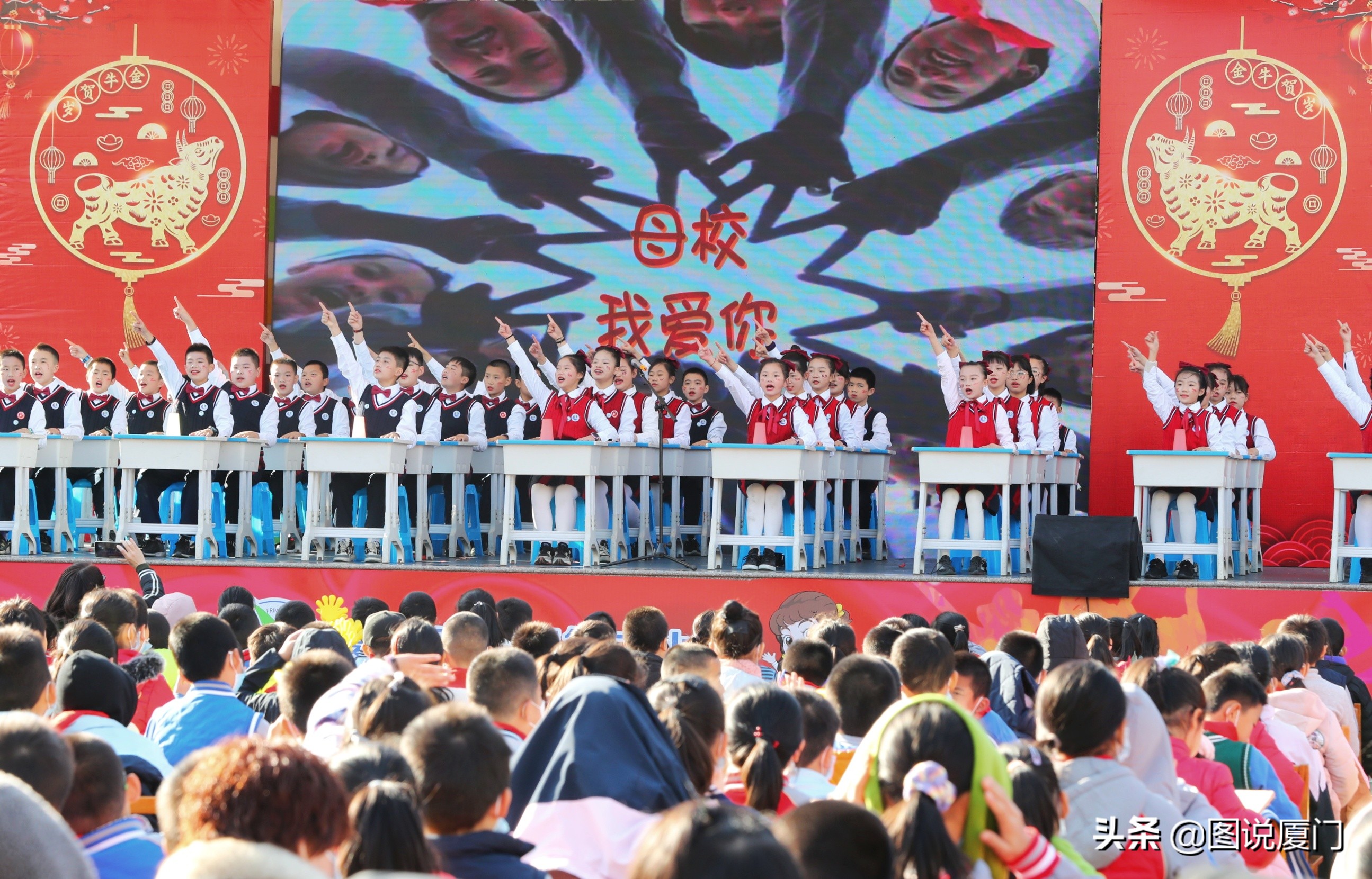 东渡二小凤凰花开,厦门市东渡小学2017年长什么样