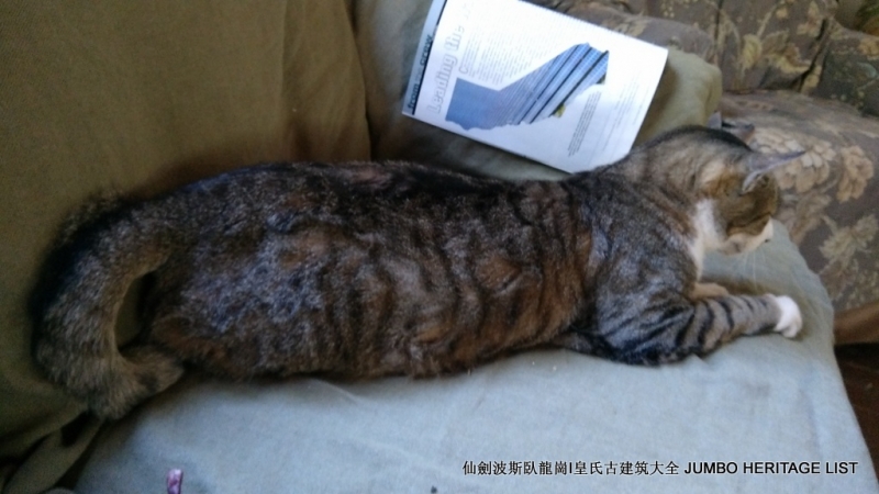 第3045回：人生一世草生一春，来如风雨去似微尘