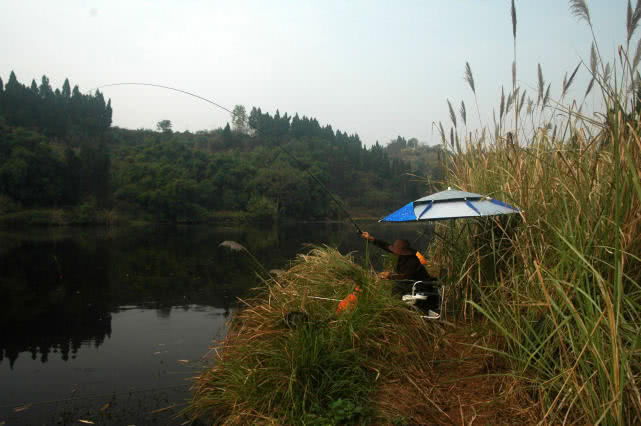 春钓应该注意什么,春钓用蚯蚓好吗