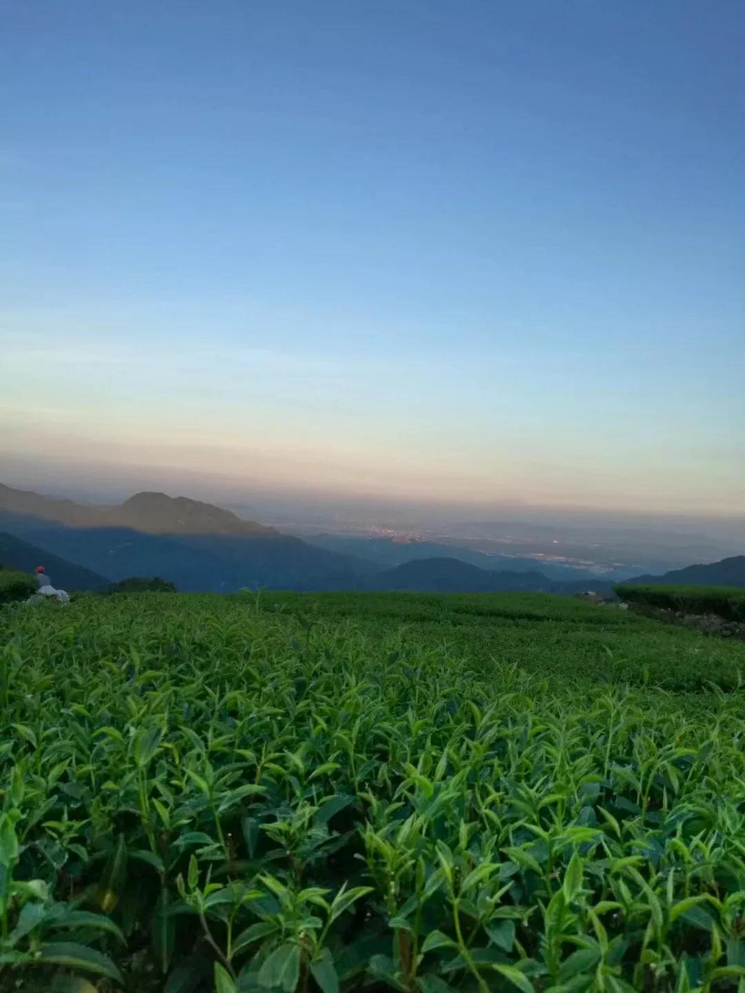茶山旅游游记,访名山大川记美丽心情
