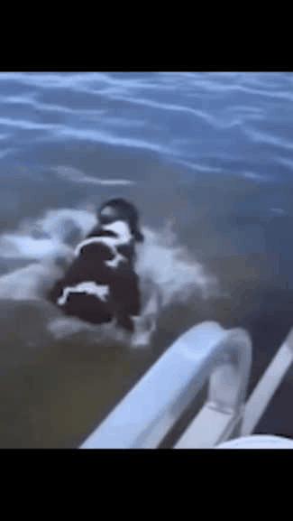 视频滤镜到底有多强,视频滤镜太多是什么原因