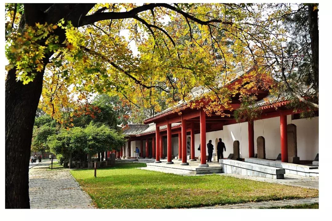 延安黄陵黄帝陵,黄帝陵是延安最有名的景点吗