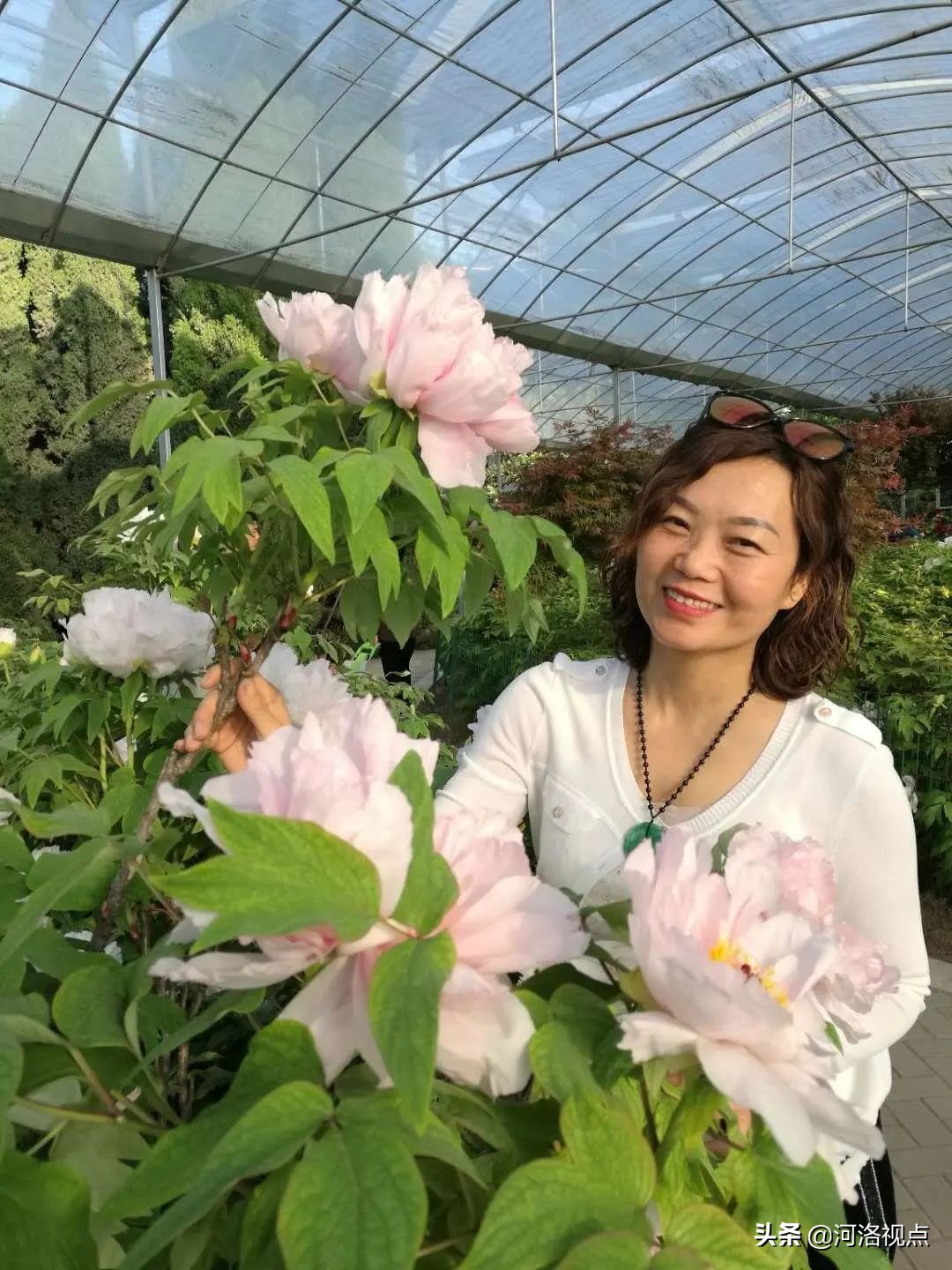 洛阳市实验小学栾川分校校长,洛阳实验小学栾川分校最新视频