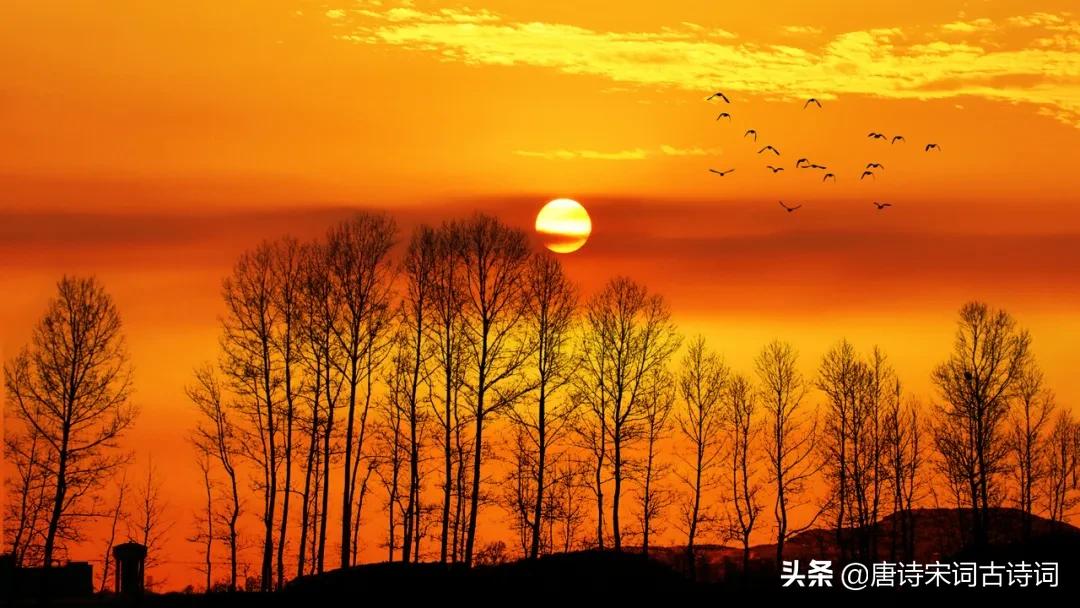 暧暧远人村依依墟里烟全诗,暧暧远人村依依墟里烟解释