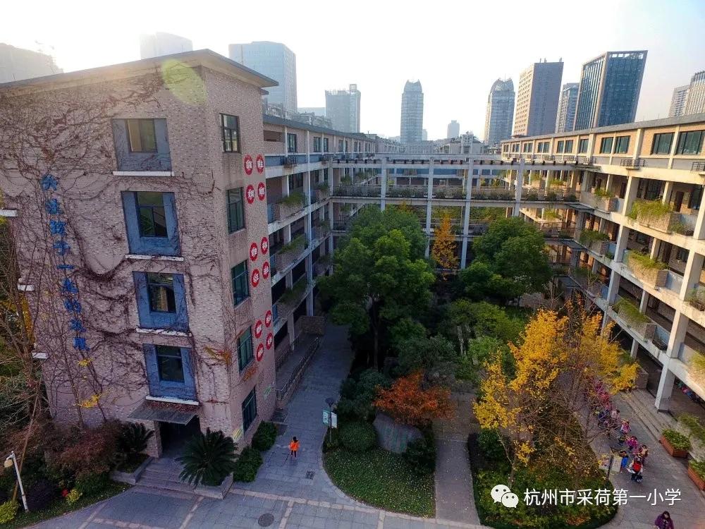 杭州丁信小学和丁蕙小学,杭州私立小学好还是公立小学好