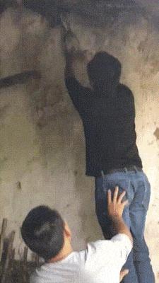 搞笑老鹰捉小鸡图片,搞笑版老鹰抓小鸡视频抖音30秒