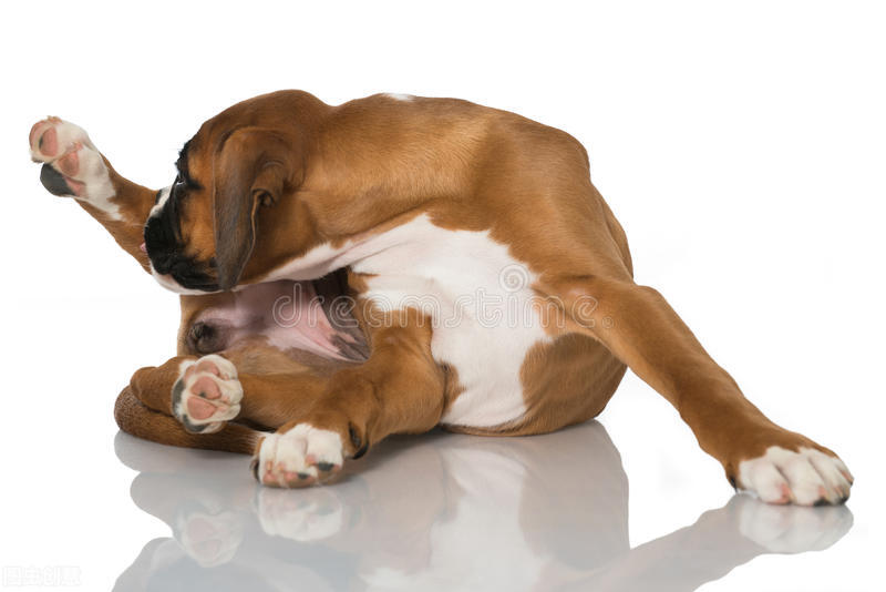 每一位宝贝的终极顽固分子“皮肤病”