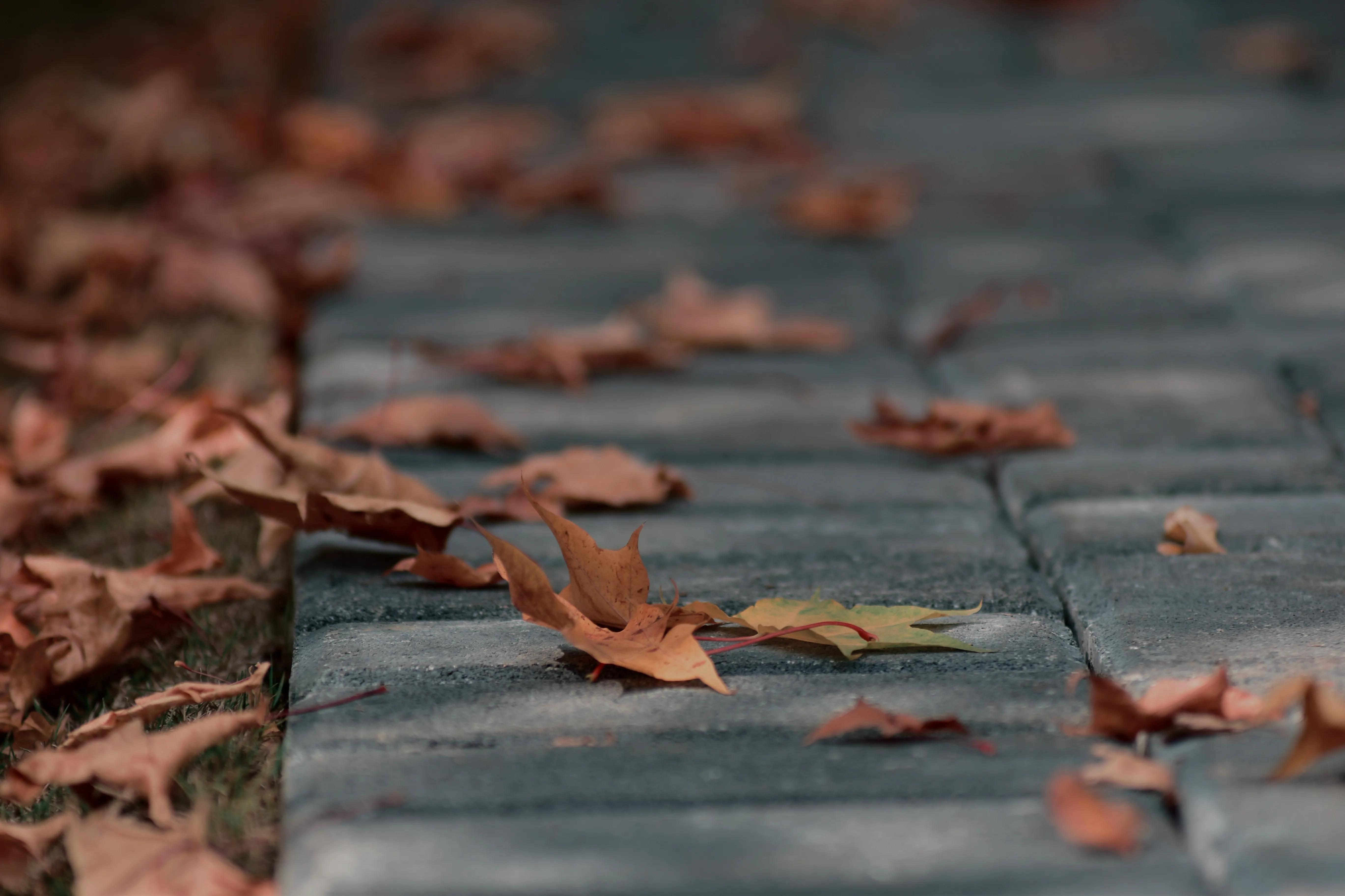 尼康d300s加腾龙18-200镜头,腾龙镜头70200a009人像效果