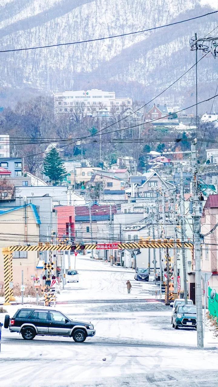 中国至今没被认全的20个邻居,个个身怀宝藏,你知道几个?