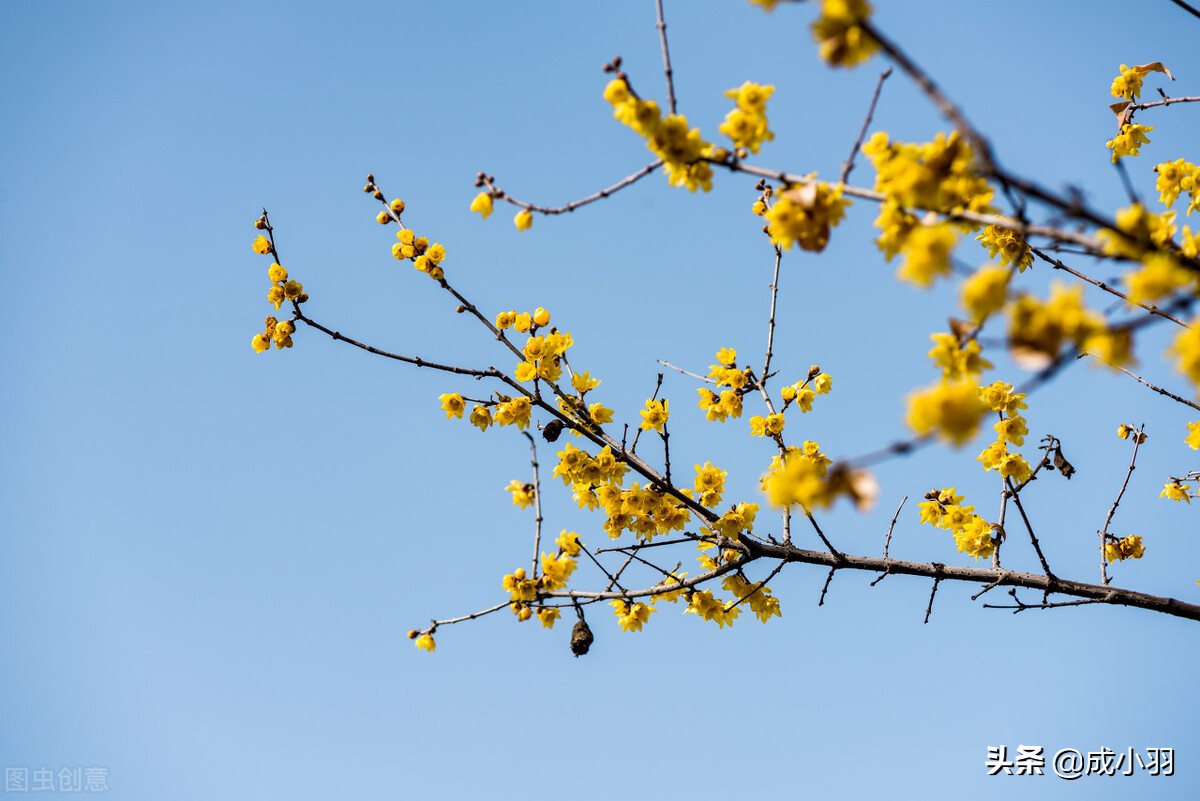 想得太多的人终究不快乐,想得多自然就不快乐