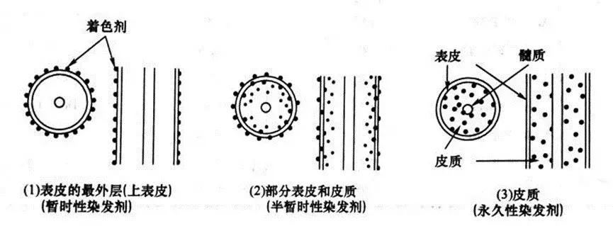 染发剂都会致癌吗,染发剂致癌是真的吗