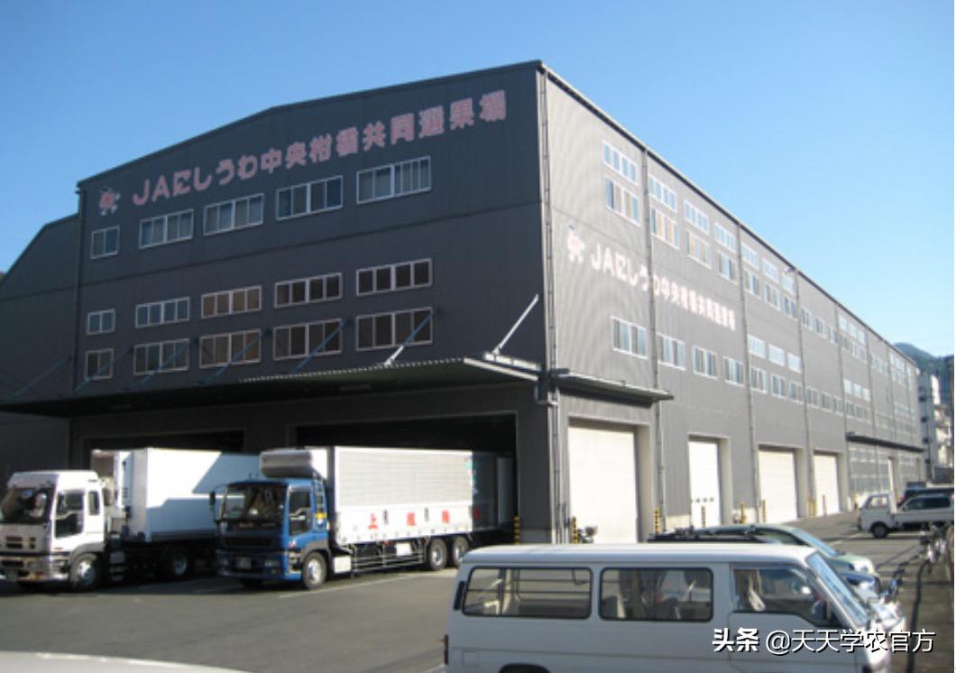 中国农业与日本农业相差,日本农业对比中国农业