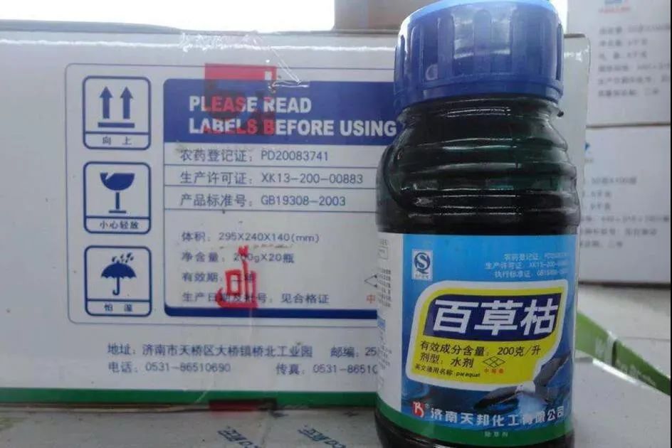 13岁女孩喝下百草枯后续短文,13岁女孩喝下百草枯病情恶化