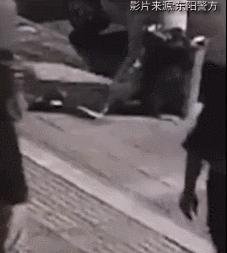 小卖部老板养了一只招财猫,店老板养的猫咪