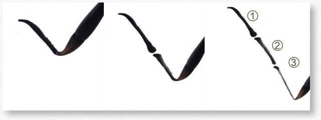 画竹子的简单画法水墨初学,竹子没骨画教程