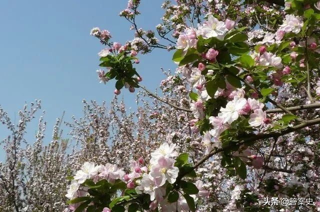 中国历史上卓越的领导人—周恩来！