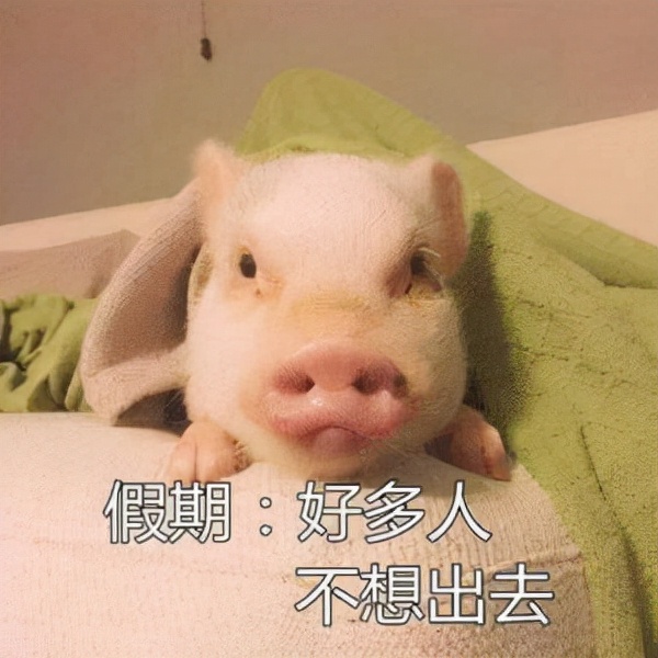 爱奇艺视频重新活一次免费观看,爱奇艺版权受限无法观看视频