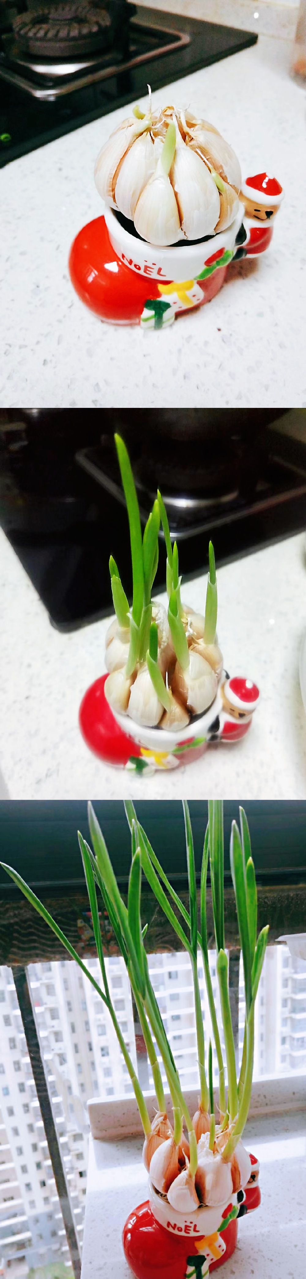 葱蒜自由，目前还不能拥有