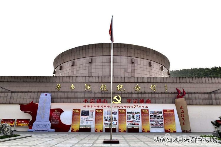 济南的法国梧桐,济南梧桐树美景