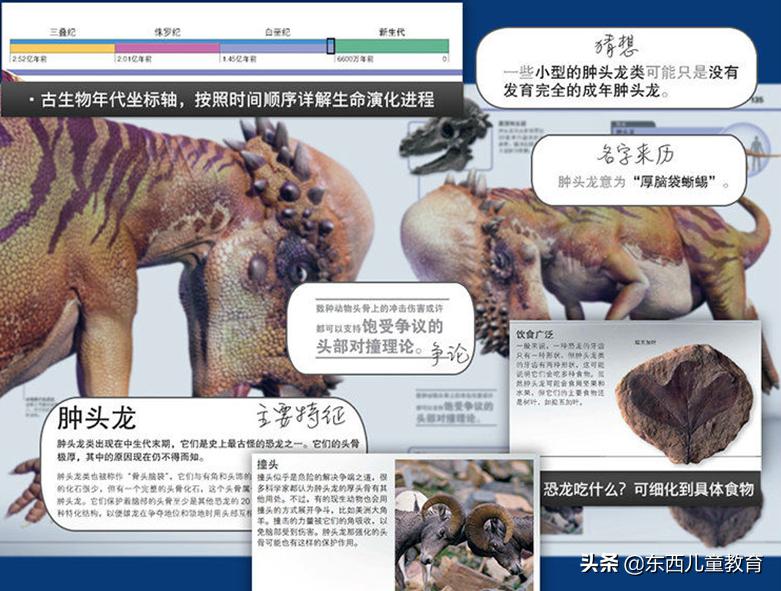 科学家发现喜欢恐龙的娃更聪明,为什么痴迷恐龙的孩子更聪明