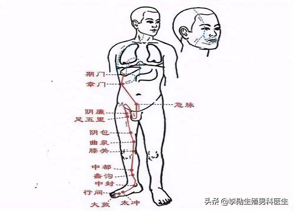 斩断三千烦恼丝英语,斩断三千烦恼丝方可破局