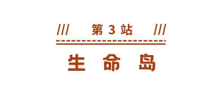 野生动物王国值不值得去,北方新开的动物王国