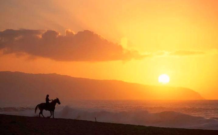 从100美元到1000亿的投资传奇,从9万亿美元增长到近30万亿美元