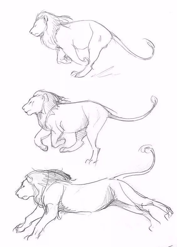 简笔画人物教程大全零基础成人,1000个适合零基础的简笔画教程