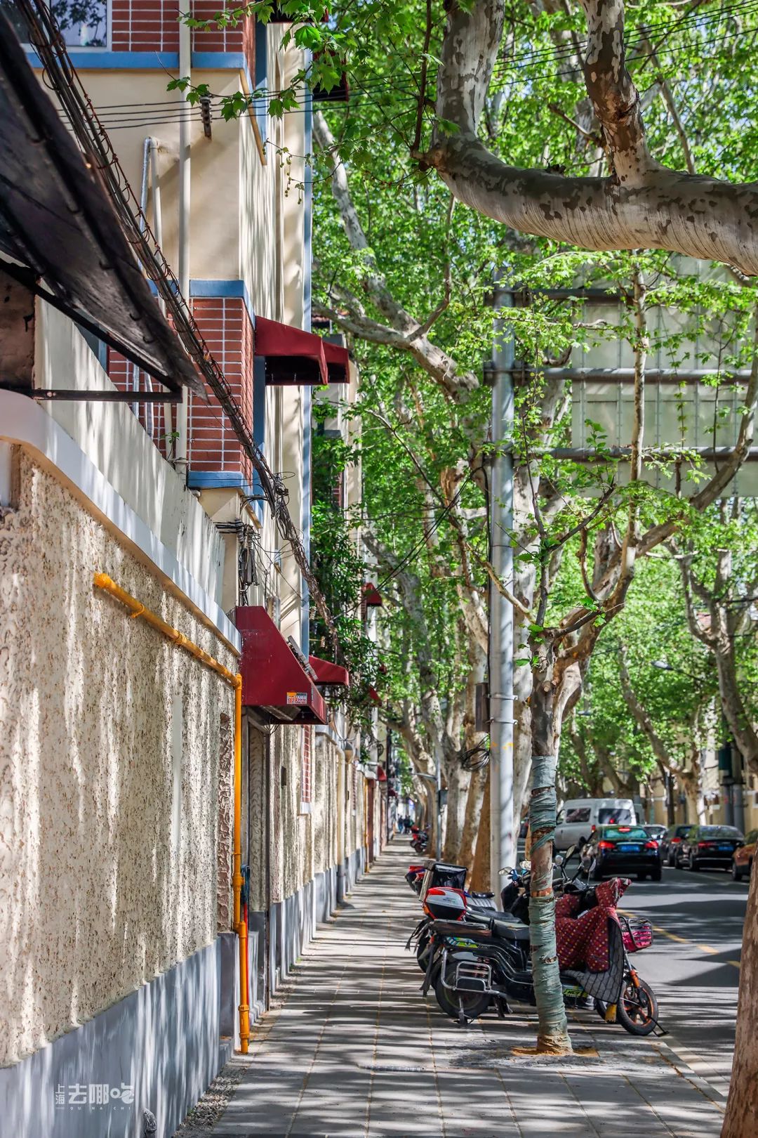 上海国庆小众旅行攻略路线图,上海出发国庆旅游攻略推荐