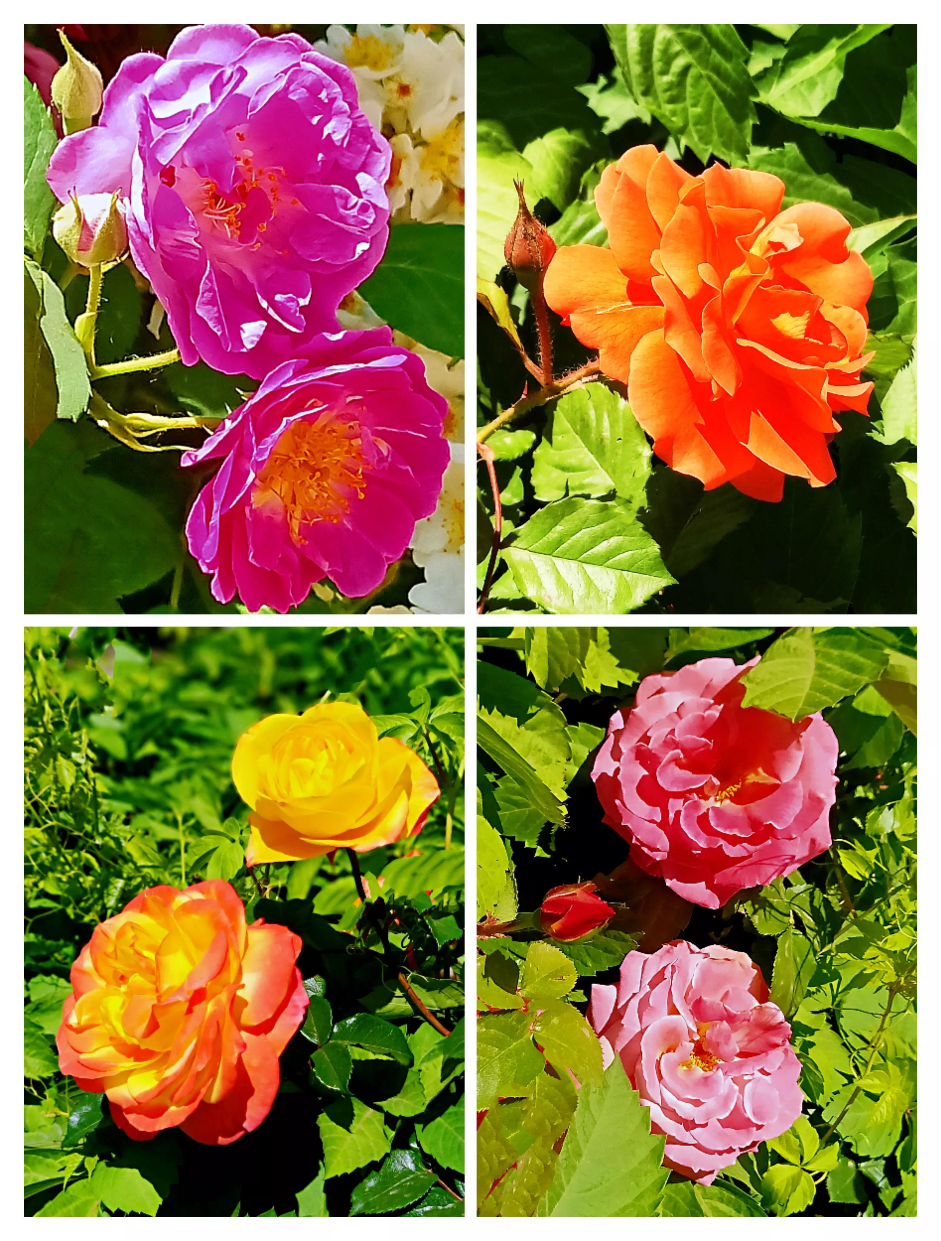 天津银河广场景观,天津银河公园攻略