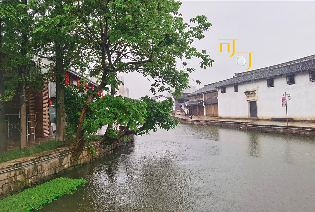 柯桥轻纺城焕然一新,柯桥海鲜自助午餐