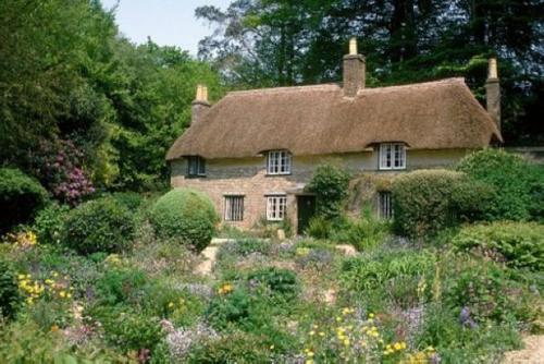 国外特效药新型,世界上最神奇的特效药