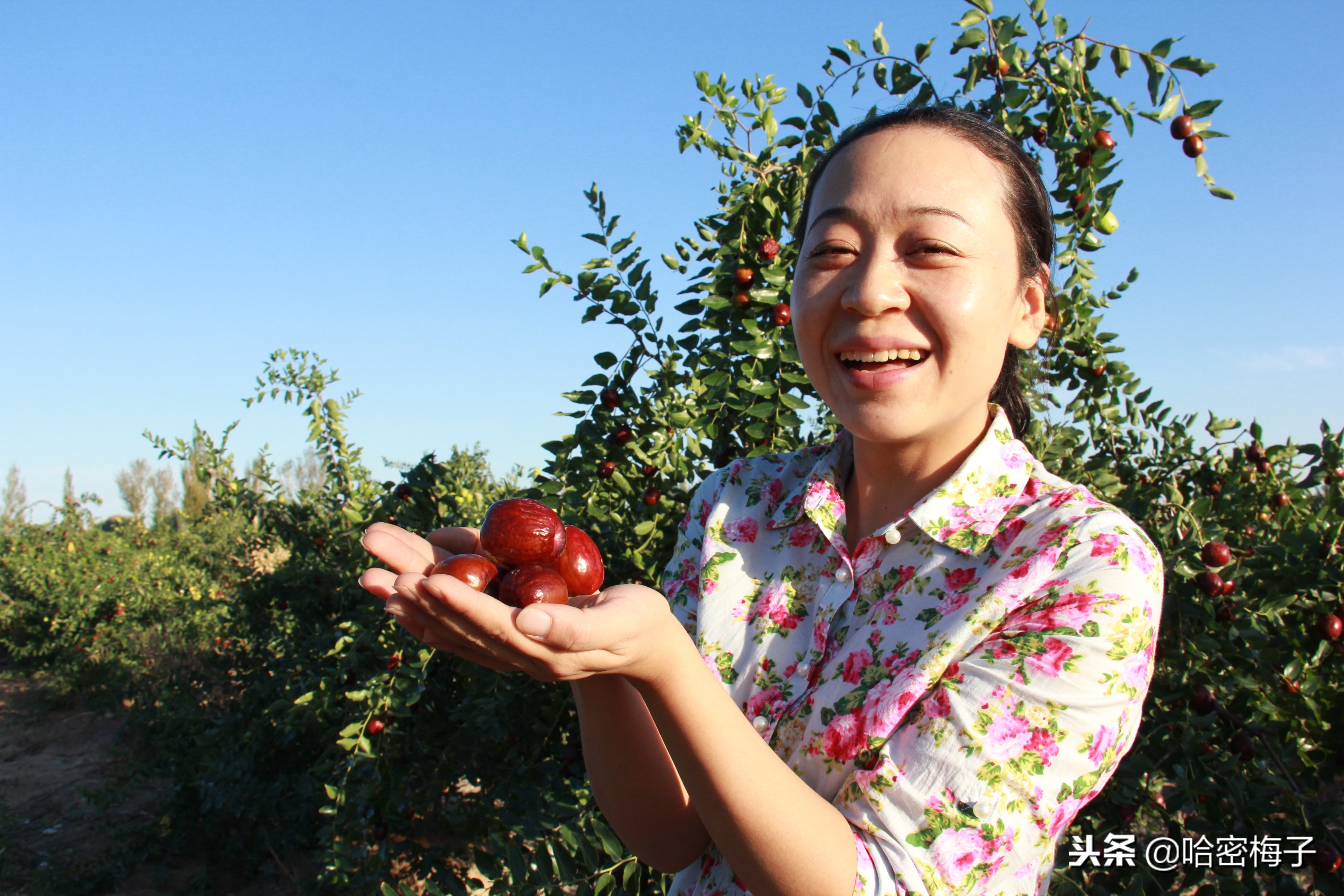 吃新疆美食看新疆自然景观,品尝新疆美食内地