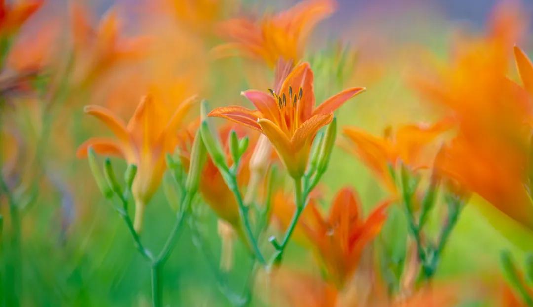 在济南花式避暑，一见“清”心！只需一瞥，便足以把酷夏原谅…