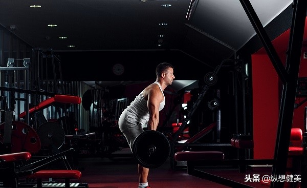 t杆划船练背的哪个部分,t杆划船如何练背阔