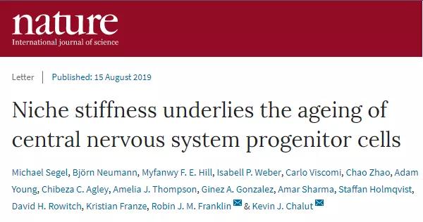 中国干细胞研究及治疗最新进展,近期干细胞研究领域的成果