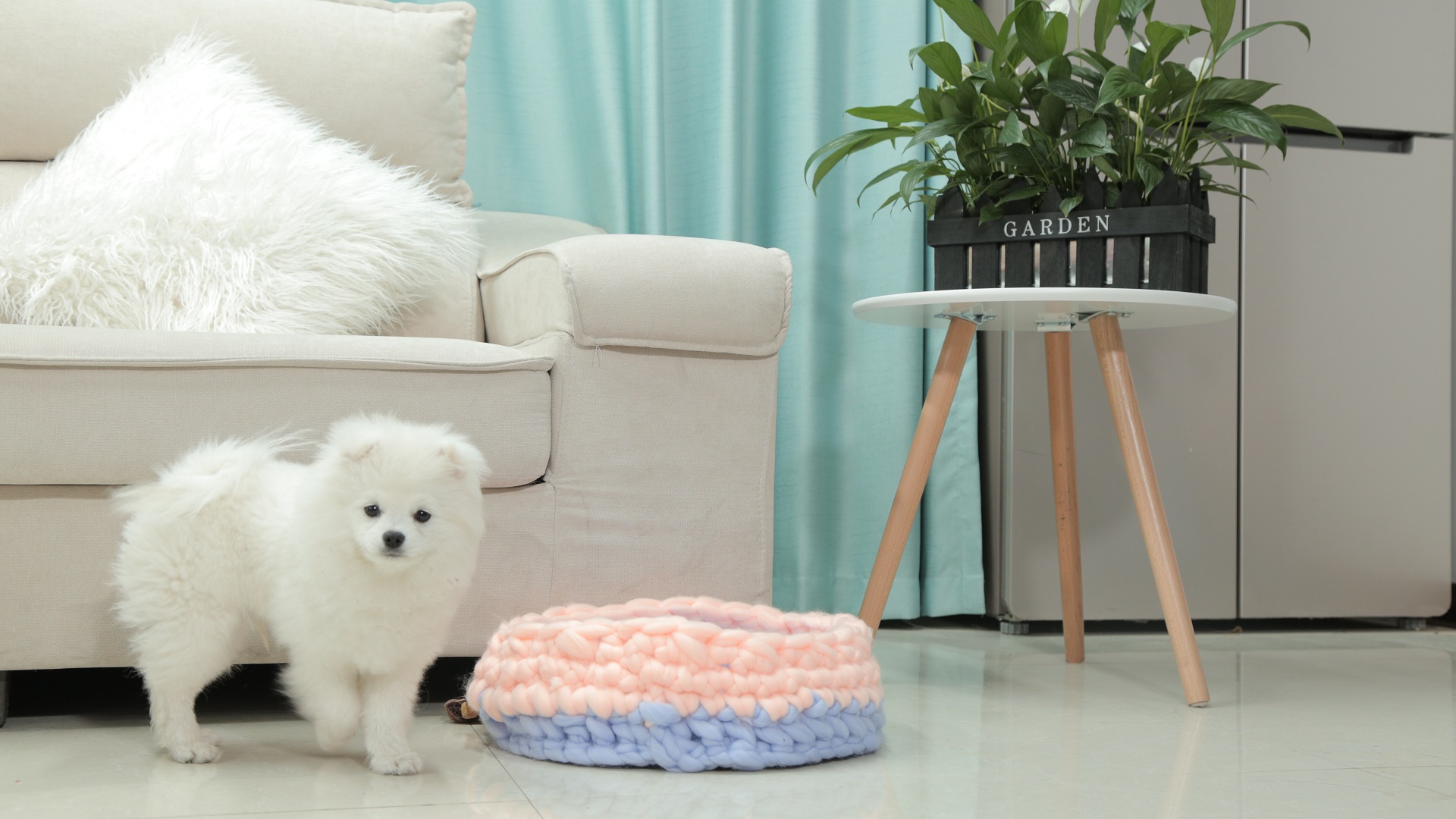 冰岛线能编织什么,冰岛线编织狗窝教程